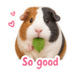 Sticker 5