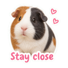 Sticker 9