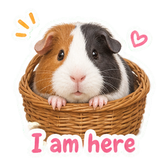 Sticker 1
