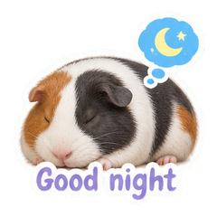 Sticker 12