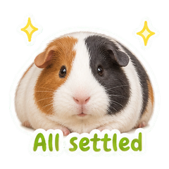 Sticker 11