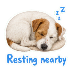 Sticker 12