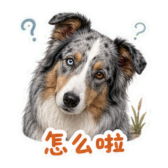 表情 5