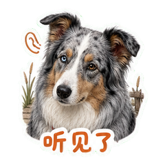 表情 2