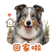 表情 11
