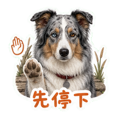 表情 4