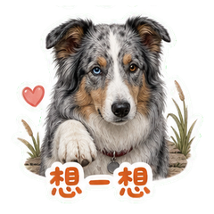 表情 9