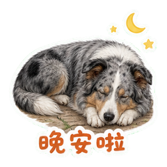 表情 12