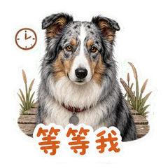 表情 6