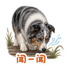 表情 3