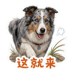 表情 7