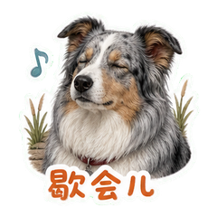 表情 10