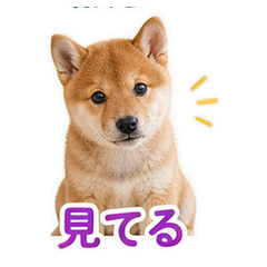 Sticker 9