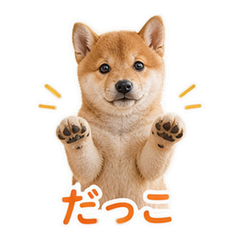 Sticker 5