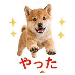 Sticker 7