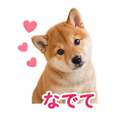 Sticker 2