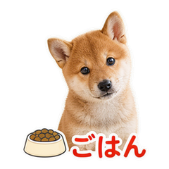 Sticker 1
