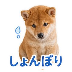 Sticker 8