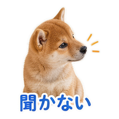 Sticker 3