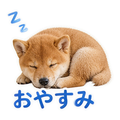 Sticker 12