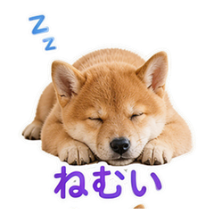 Sticker 4