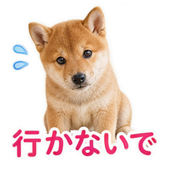Sticker 10