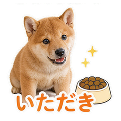 Sticker 11