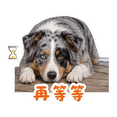 表情 6