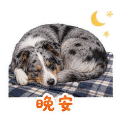 表情 12