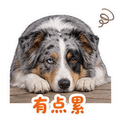 表情 11
