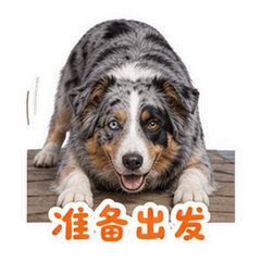 表情 7