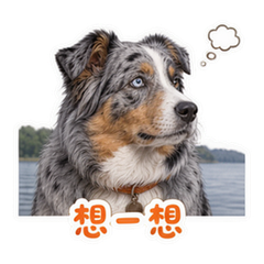 表情 9