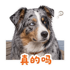 表情 5