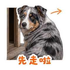 表情 10