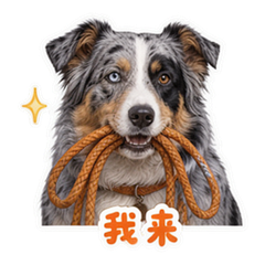 表情 8