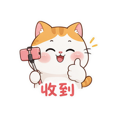 大脸自拍猫 #4