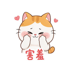 表情 5