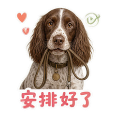 表情 10