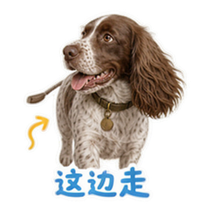 表情 3