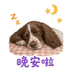 表情 12