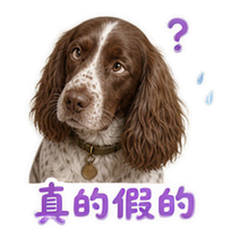 表情 6