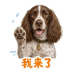 表情 1