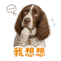 表情 9