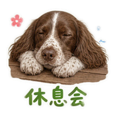 表情 11