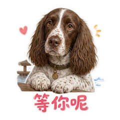 表情 2