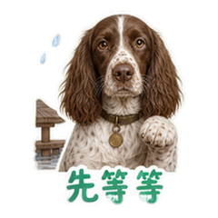 表情 4