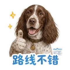 表情 8