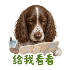 表情 7