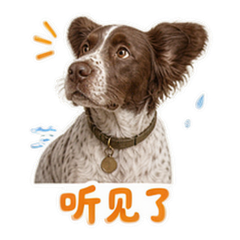表情 5