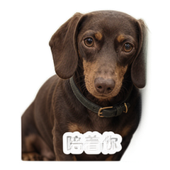 貼圖 8